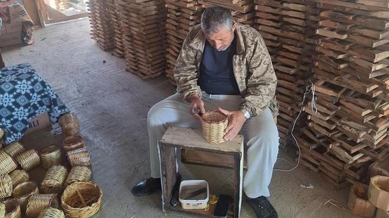 Tüm emekler bir gecede yok oluyor Erzurumlu arı üreticilerinin ayı kabusu