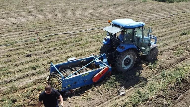 Afyonkarahisarda patates hasadı başladı: Fiyatlar ve rekolte üreticinin yüzünü güldürüyor