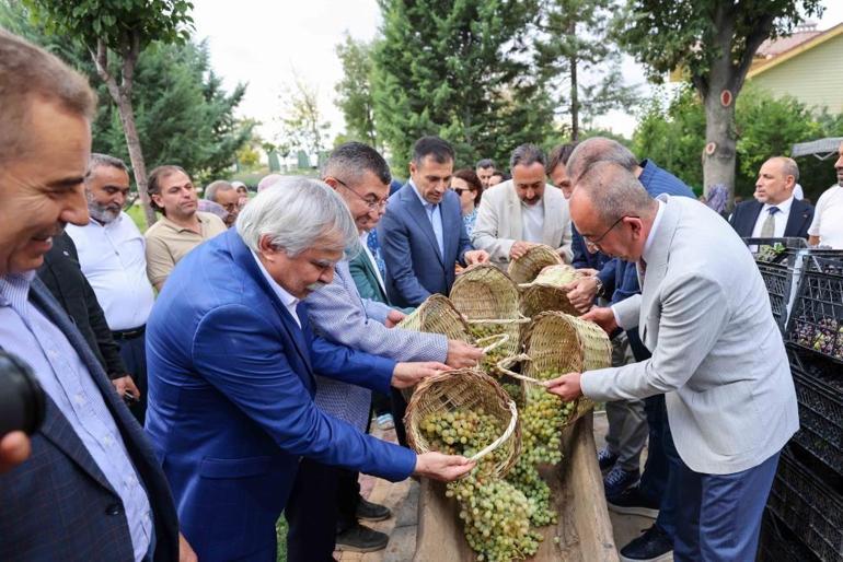 Konyada dördüncü kez kuruldu Herkes oraya akın etti