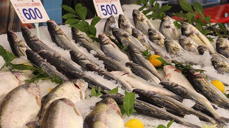 Denizler soğuyor balık fiyatları düşüyor Kilosu 200 liradan satılıyor, fiyatlar dibi görecek