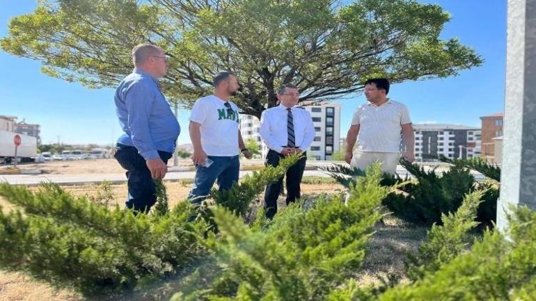 Konyada bir ilçe alıma hazır: 3 caddeye 180 adet dikilecek