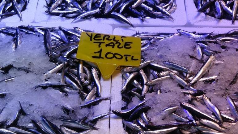 Erken gelen erken gider endişesi Balık fiyatına ters etki edecek