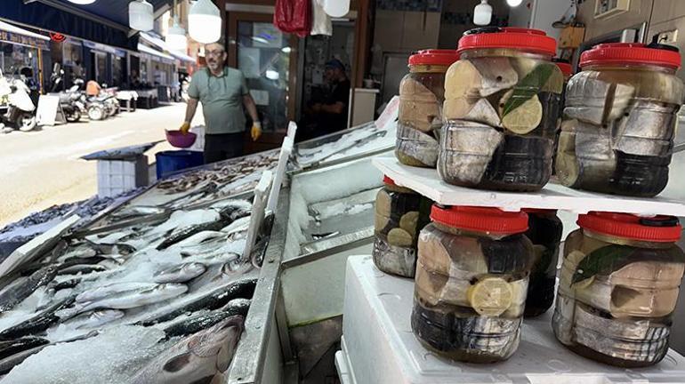 Sinopta sezonun ilk lakerdaları tezgahlarda: Kilogramı altınla yarışıyor