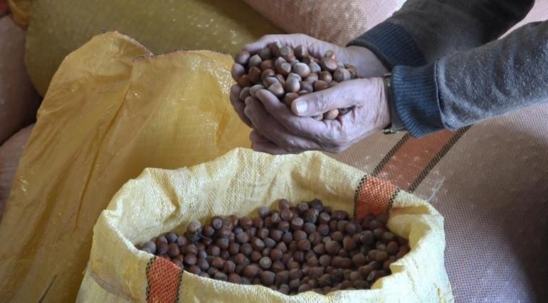 Türkiyenin en önemli ürünlerinin başında geliyor Fiyatı yüzde 50 arttı, 300 liraya ulaştı