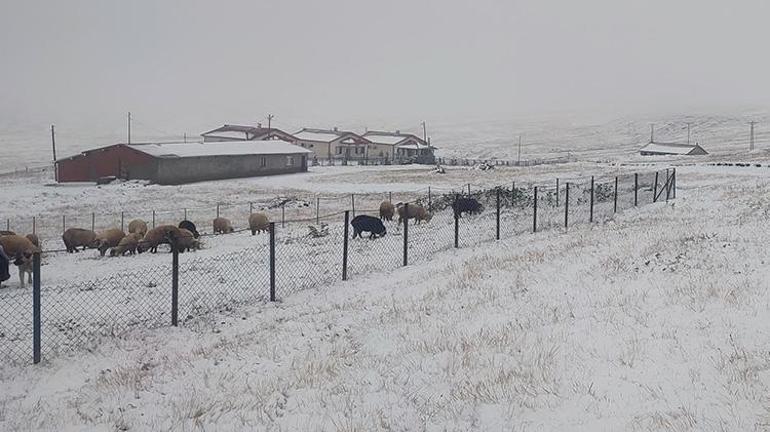 Eylül ayında Karadeniz beyaza büründü Trabzon, Rize, Gümüşhane ve Bayburta kar yağdı