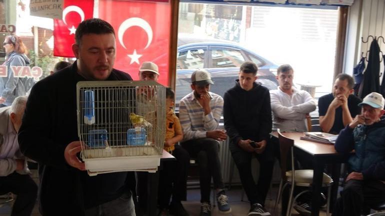 Kanaryalar satışa çıktı Fiyatları 300 TL ile 1000 TL arasında değişiyor