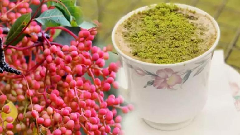 Konya’da ‘çıtlak’ Tokat’ta ‘çedene’ Manisa’da ‘çitlembik’ diyorlar Hasat başladı