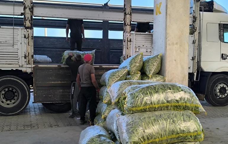 Afyonda fasulyenin kilosu yüzleri güldürdü Üretici, tüccar ve nakliyeci bir araya geldi