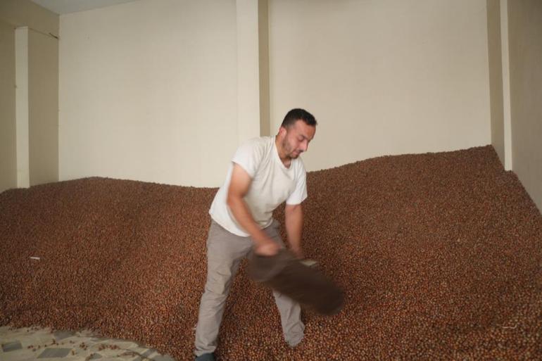 Türkiye üretimde dünyada birinci Bu yıl fiyatı rekor kıracak