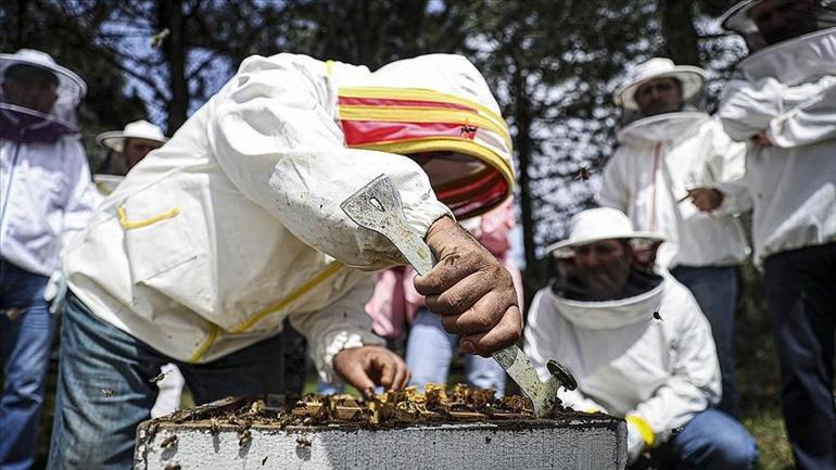 Sivasın köyünde özel üretiliyor Binlercesi aynı anda yapıyor, dünya peşine düştü