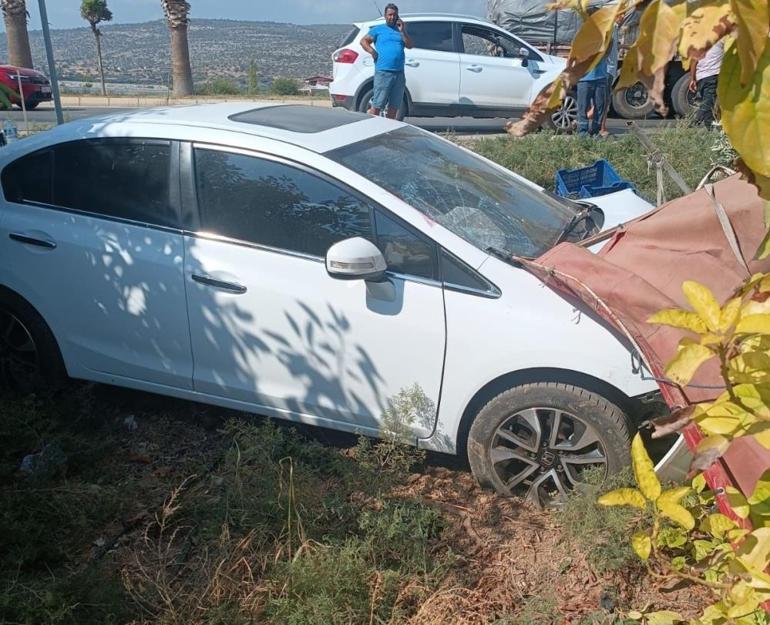 Mersinde hasat faciaya dönüştü Ölü ve yaralılar var