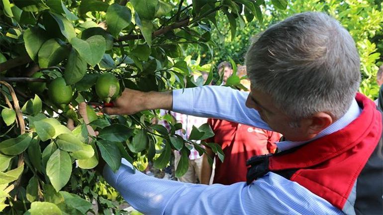 Adanadan beklenen tarih geldi Geri sayım başladı, 2 Ekimde start veriliyor