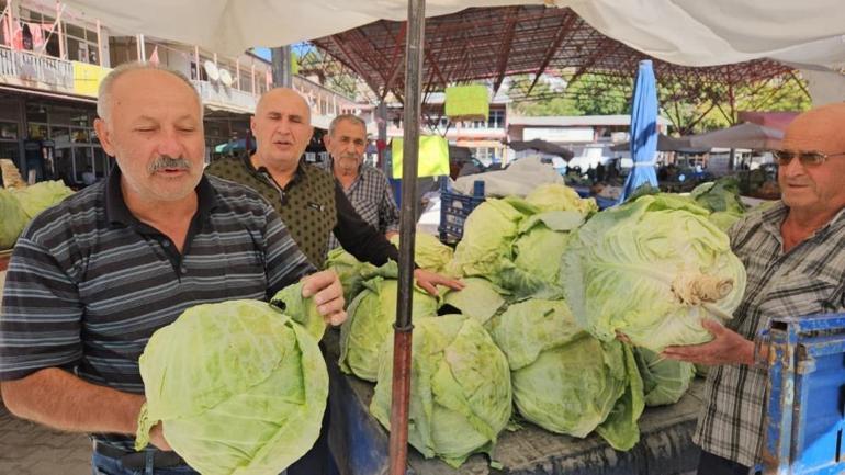 Sonbahar geldi onun mevsimi başladı Kilo ile değil, tane ile satılıyor: 50 liraya da var 200 liraya da