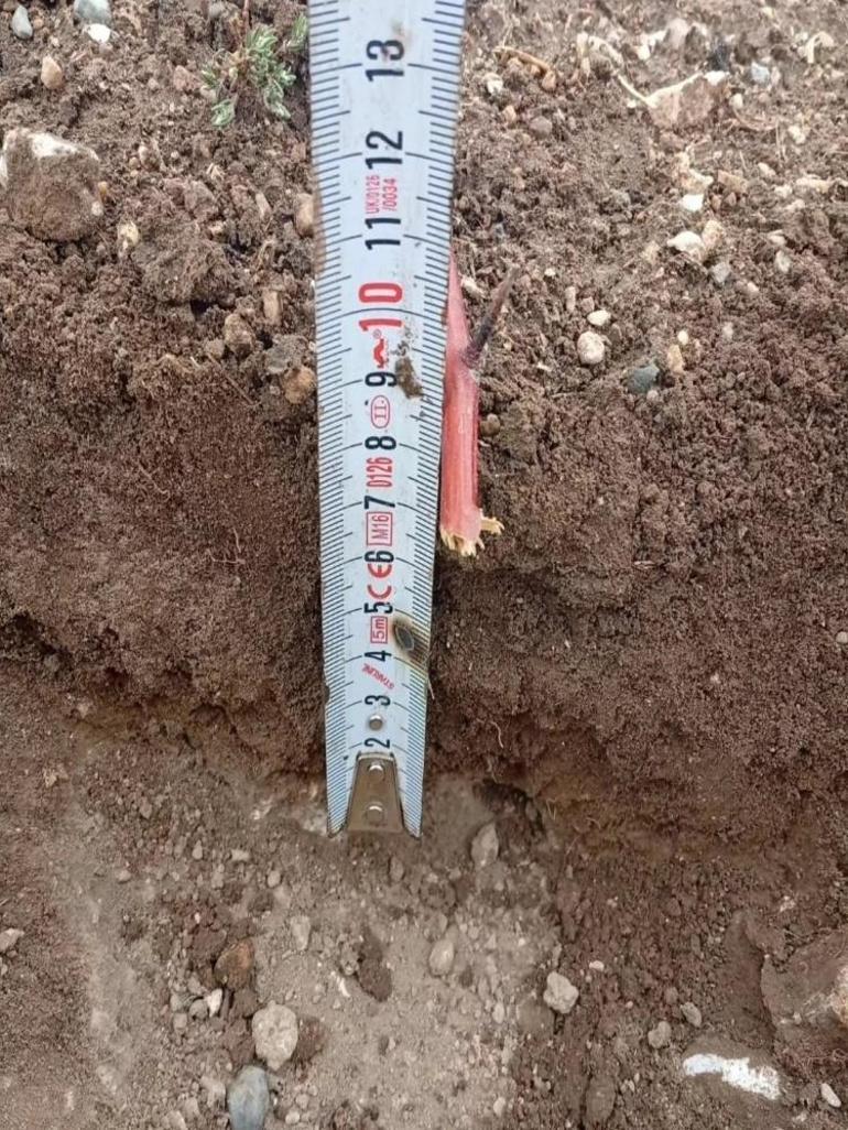 Konya’nın bir ilçesinde görüldü Boyutu 10 cm’yi buldu