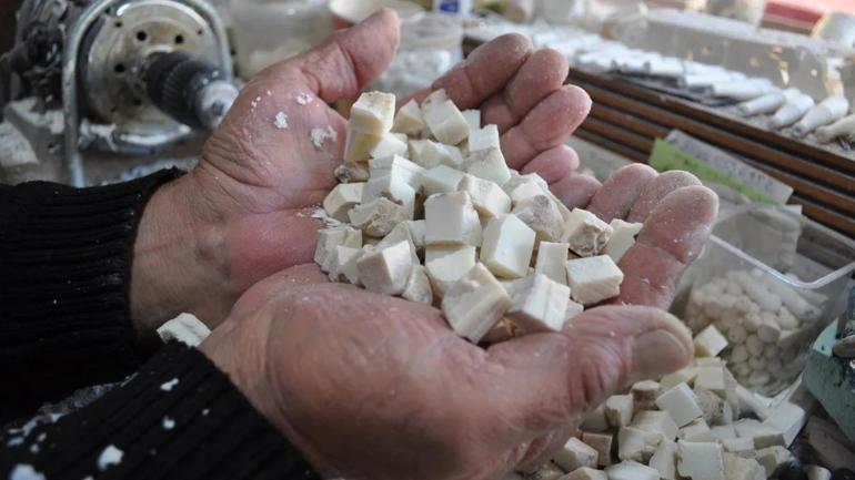 Eskişehir’de herkes satın alıyor: Tanesi 100 TLden satışa sunuluyor