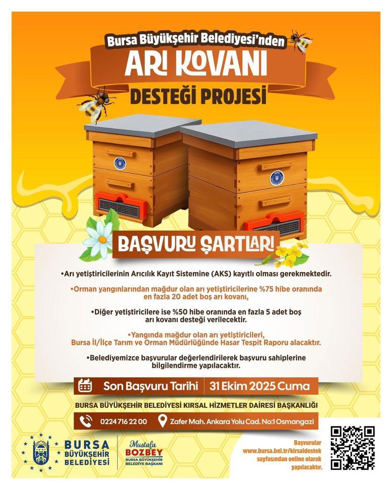 Bursalı arıcılara büyük destek Başvurular başladı: Yüzde 75 hibe...