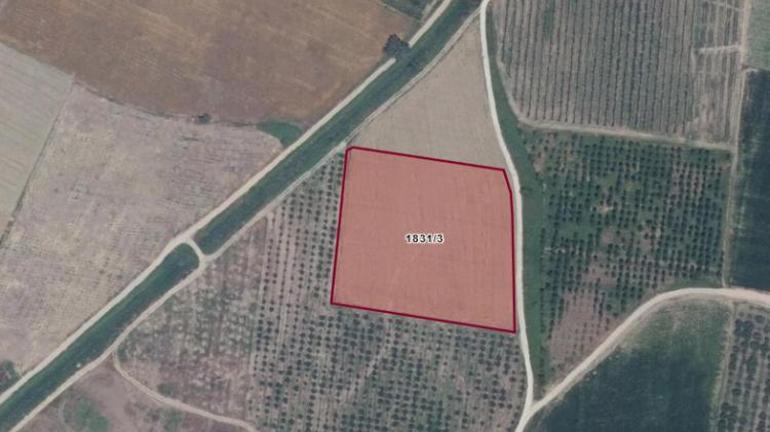 Bursada 71 bin TLden parsel parsel satılıyor Çok sayıda arsa ve tarla alıcılarını bekliyor