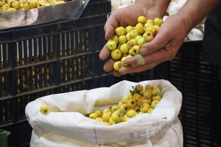 Tek tek toplanıyor, kalp dostu ve şifa deposu Fiyatı 50 liradan 100 liraya çıktı