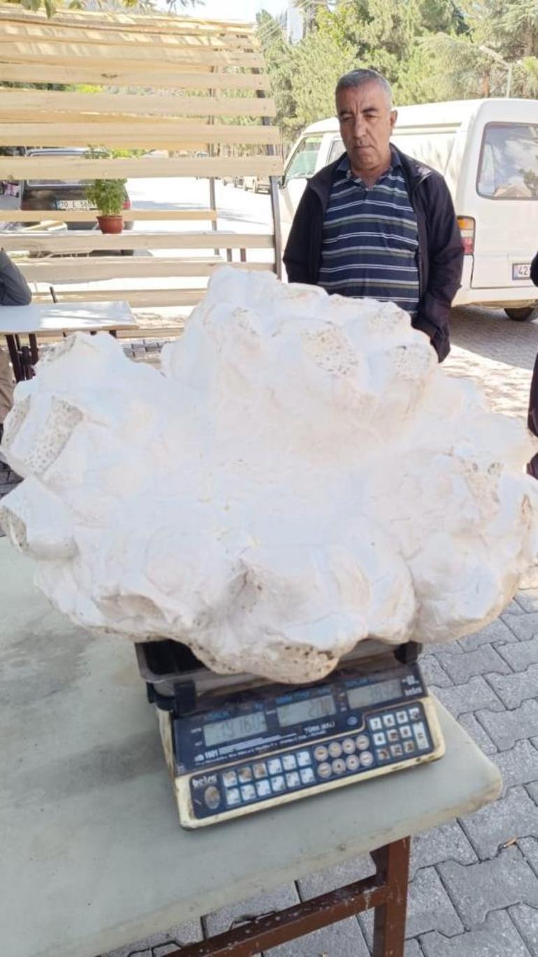 Konyada köyde buldu Taş sandı, yaklaşınca donup kaldı: İlk kez görüyorum, tam 19 kilo