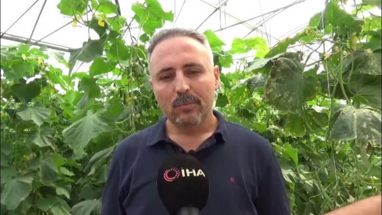 Devletten destek aldı Şimdi hem istihdam yaratıyor hem de yüksek üretim yapıyor