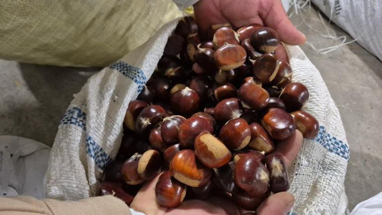 Tescilli lezzet hasattan sonra pazara indi Kilogram fiyatı 200 liradan başlayıp 400 liraya kadar çıkıyor
