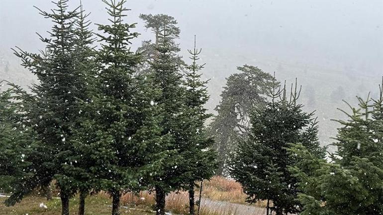 Lapa lapa kar yağışı başladı Bolu hazırlıksız yakalandı, İstanbulun yanı başında beyaz sürpriz