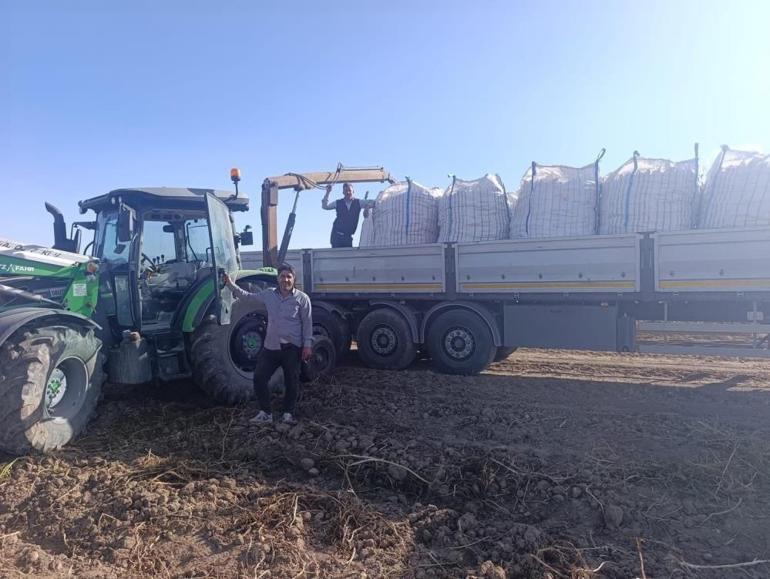 Çiftçiler tarlaya indi İlk ürünler toplanmaya başlandı Üretici mutlu