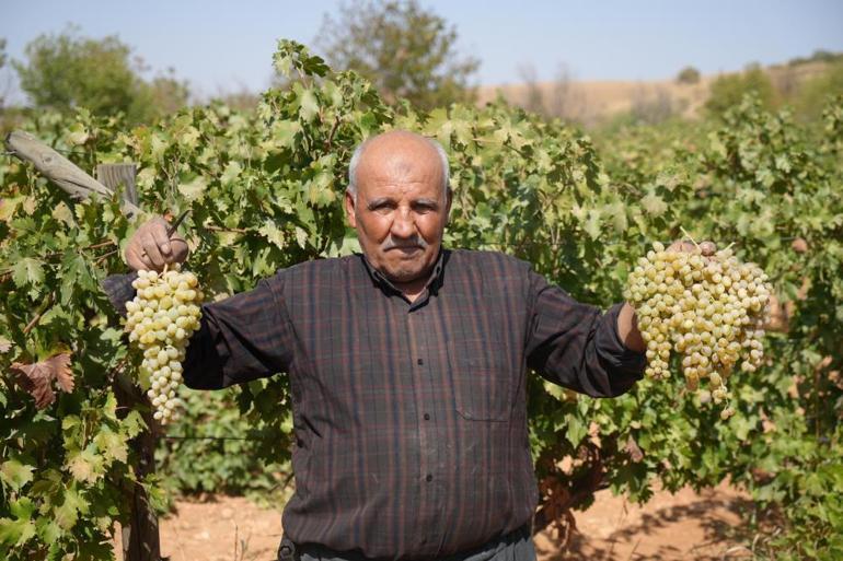 Fıstık şehrine kurduğu sistemle üreticilere örnek oldu Kuraklık ve dondan etkilenmediler