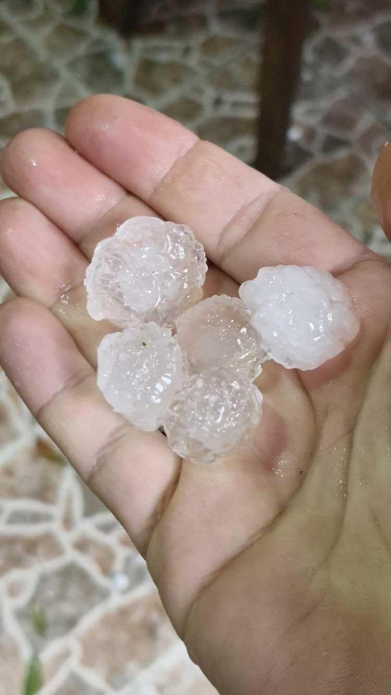 Valilik ve Tarım Müdürlüğünden kritik hamle Adanada yeni dönem resmen başladı: Artık yasak