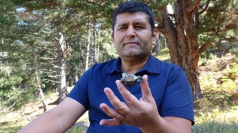 Mantar toplamaya gittiği yerde tesadüfen buldu, hayatı değişti: Karabükte 1700 rakımlı zirvede şok keşif 250 gram ağırlığında