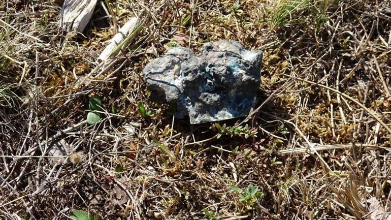 Mantar toplamaya gittiği yerde tesadüfen buldu, hayatı değişti: Karabükte 1700 rakımlı zirvede şok keşif 250 gram ağırlığında