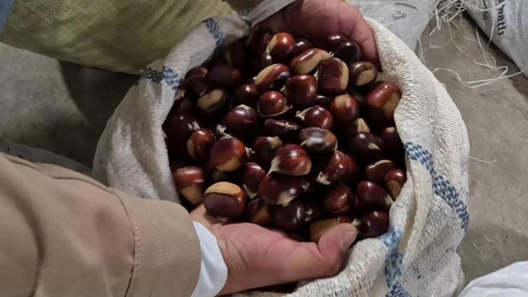 Soğuk havaların vazgeçilmezi tezgahlarda yerini aldı Bu sene mahsul az olduğu için fiyatı 400 liraya çıktı