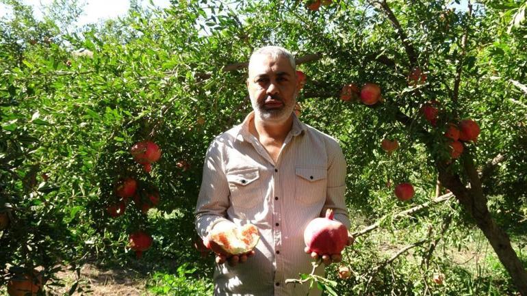 Gaziantepin meşhur ürününün mevsimi geldi Bu sezon her cebe uygun olacak