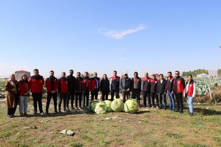 Bölgede kelem olarak biliniyor Burada yetişenler devasa boyutta oluyor