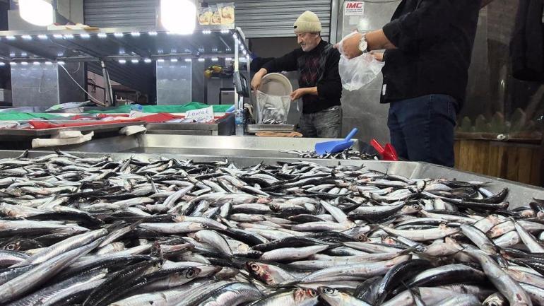 Tezgahlar iyice şenlendi Bu balığın kilosu 50 liraya kadar düştü