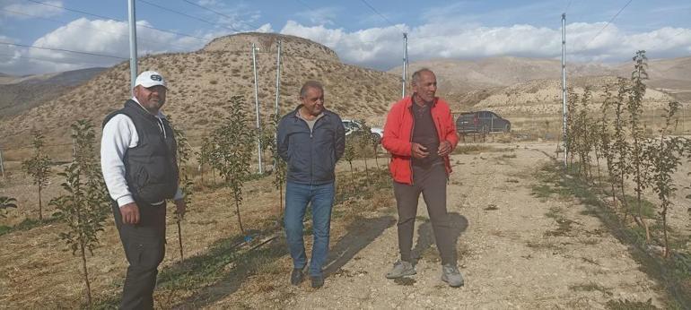 Sivasta nesli tükeniyordu, dev yatırımla hayata döndürdü: Seneye ilk hasadını yapacak
