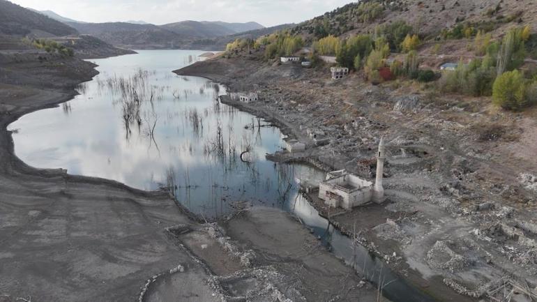 Sivasa güzel haber Yüzde 7 oranında arttı