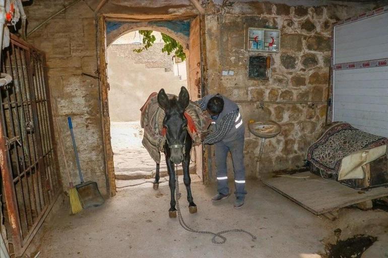 Kadrolu eşekler emekli edilecek Yerlerine elektrikli paletli araçlar geliyor