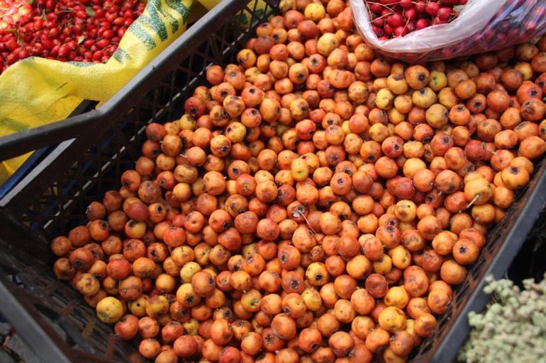 Kışın habercisi bu meyve Tanesi küçük şifası büyük fiyatı ise 100 lira