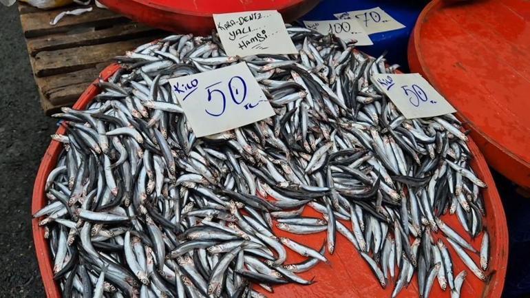 Hamsinin kilosu 50 liraya kadar düştü Vatandaşlar poşet poşet aldı