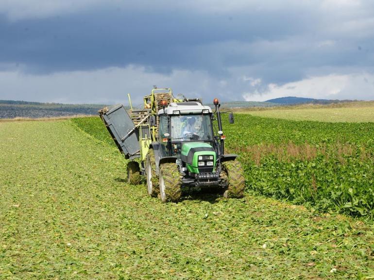 Türkiyenin şeker üretiminde en önemli ürün Fiyatı 3 bin 100 liraya çıktı