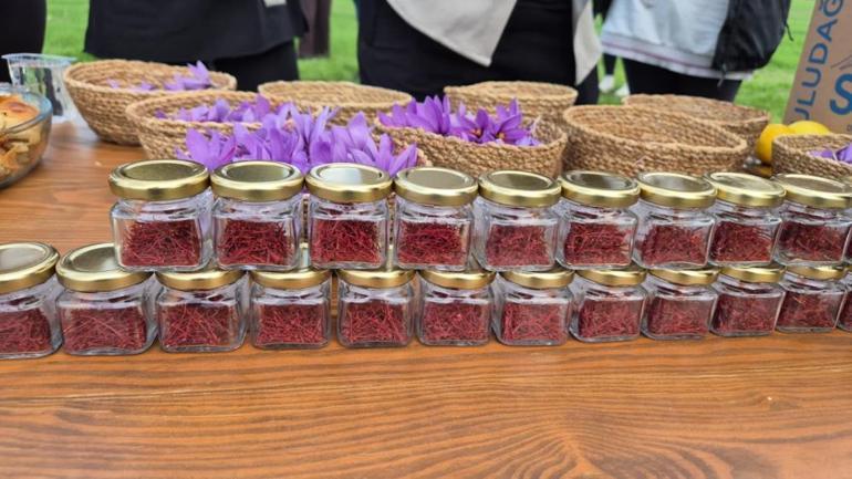 Bu topraklardan adeta para fışkırıyor Kilogram fiyatı 600 bin lira olacak