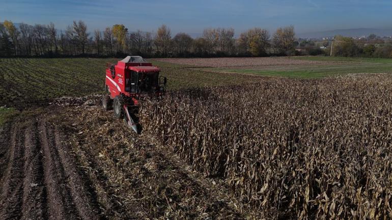 İlk hasat başladı Verim düşük, fiyatlara yansıyacak