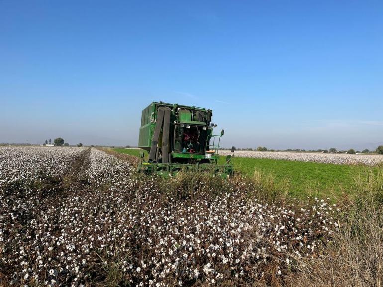 Yağışlar ürünün fiyatını etkiledi Fiyatlar yüzde 16 düştü, 26 lirayı gördü