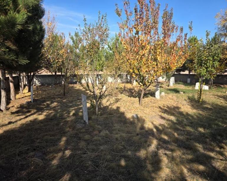 40 bebek Konyada aynı yere defnedildi Hikayeyi duyan tek kelime edemiyor