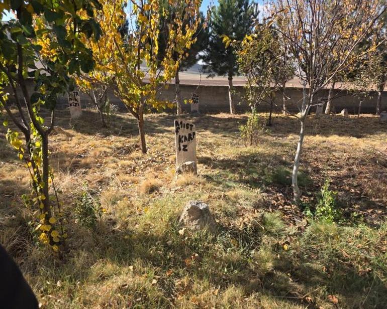 40 bebek Konyada aynı yere defnedildi Hikayeyi duyan tek kelime edemiyor