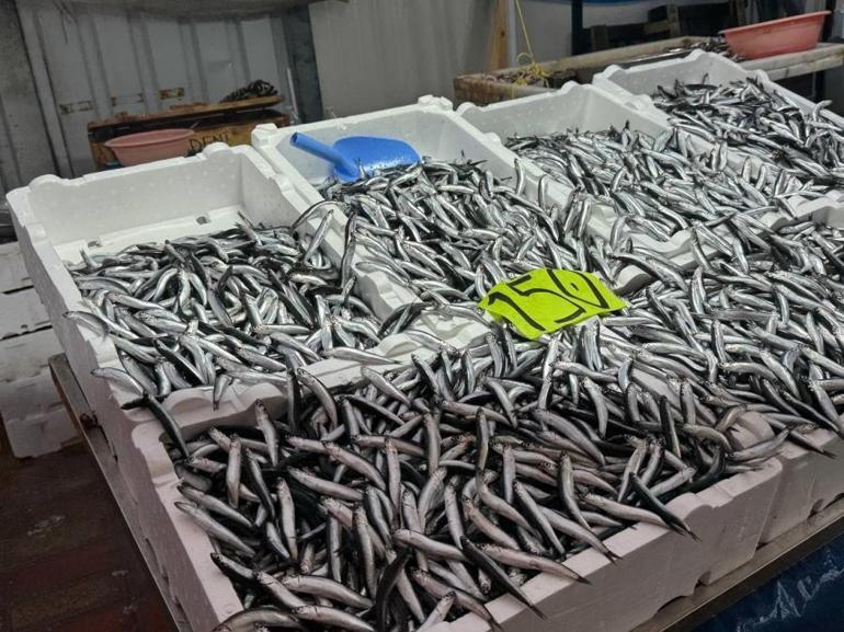 Hava şartları hamsi fiyatını yükseltti 50 liradan 150 liraya çıktı