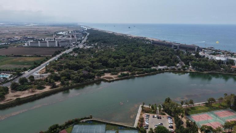 Manavgatın nesli tükenme tehlikesi altındaki 350 yıllık çamları koruma altına alınıyor Ocak 2026da başlanacak: Off road bitiyor