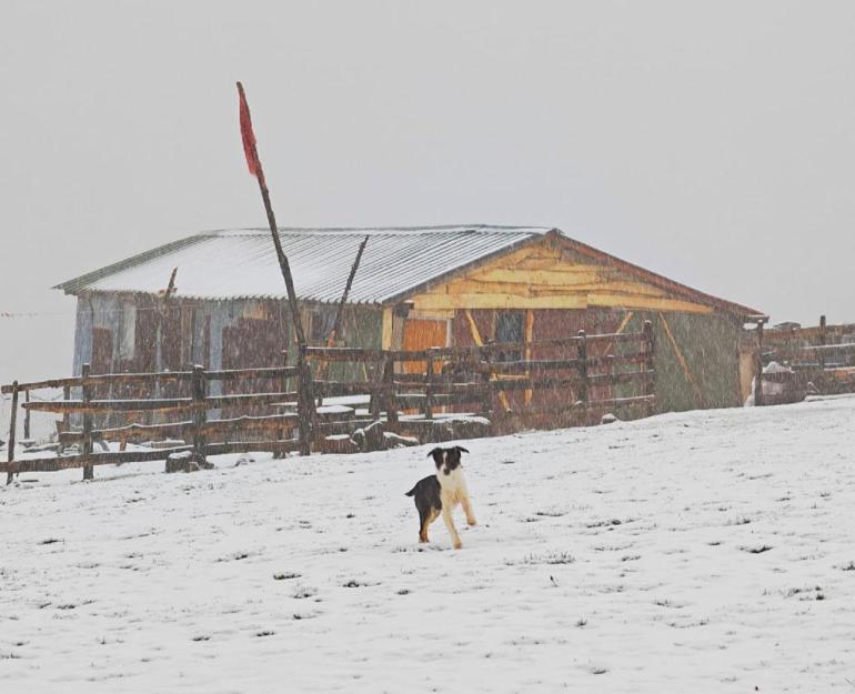 Kar yağışı Ordu’nun yükseklerini beyaza bürüdü