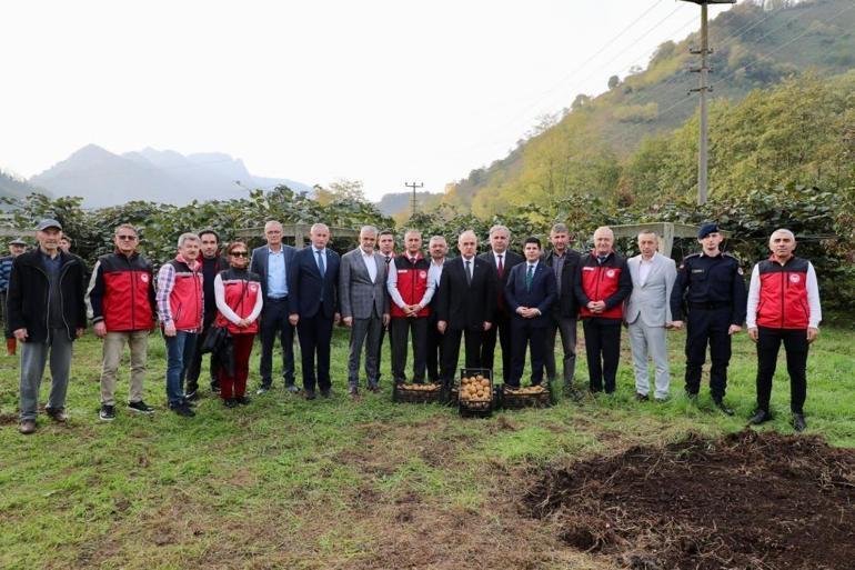 Orduda üretim patladı Yıllar önce deneyince tuttu, 520 milyon TLlik kazanç